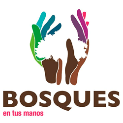  PROGRAMA BOSQUES